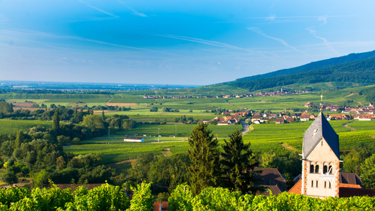 Alsace