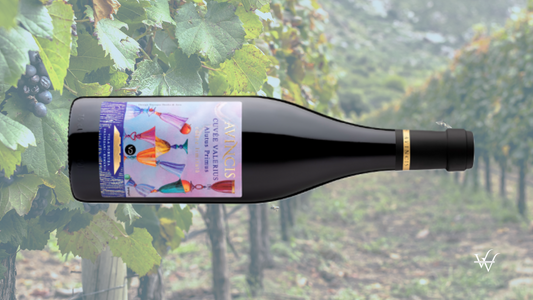 Alutus Wine Vineyard