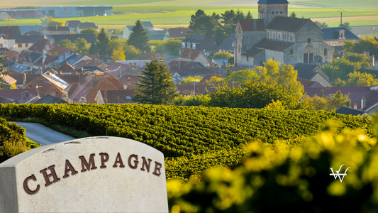 Champagne vineyards Sacy in Marne department, France