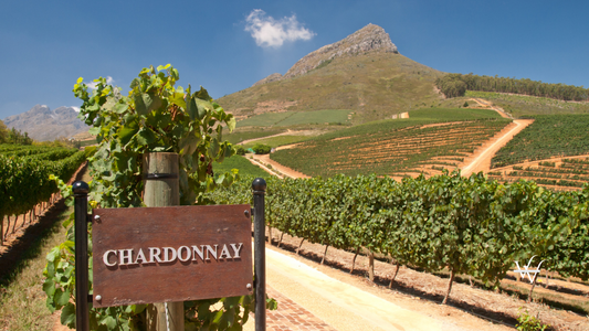 Chardonnay