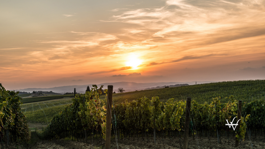 Chianti