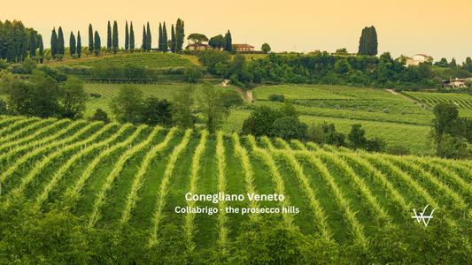 Conegliano Veneto - Collabrigo - the prosecco hills