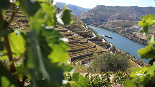 Douro Portugal