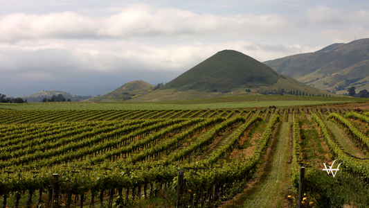 Edna Valley