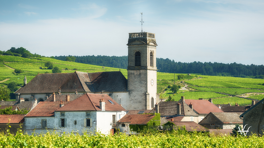 France Burgundy Vineyard Pommard Village