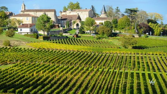 France_Vineyards_Bordeaux_Saint-Emilion