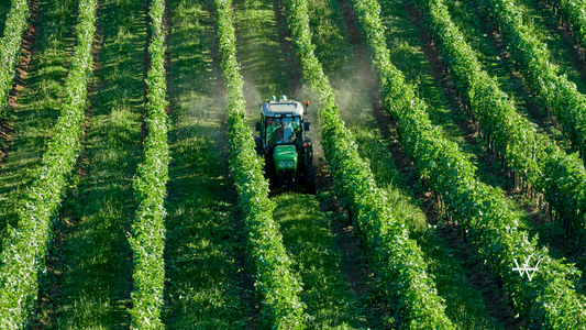 Franciacorta Italy pesticides