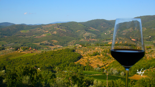 Glass of Chianti Wine in Chianti, Toscana, Italy