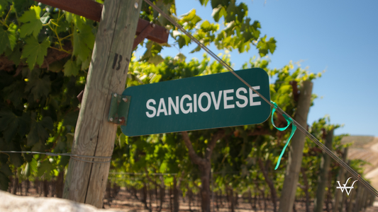 Italy Top Sangiovese Wines