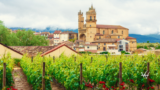 La Rioja Wine Country