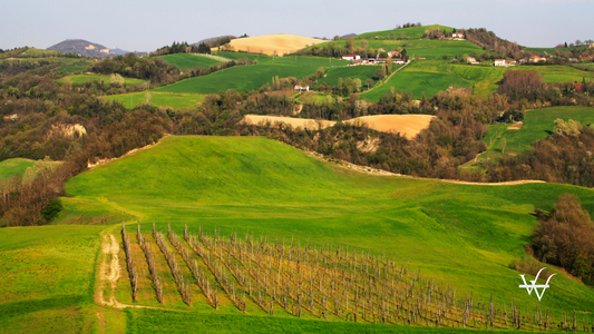Landscape of Emilia Romagna