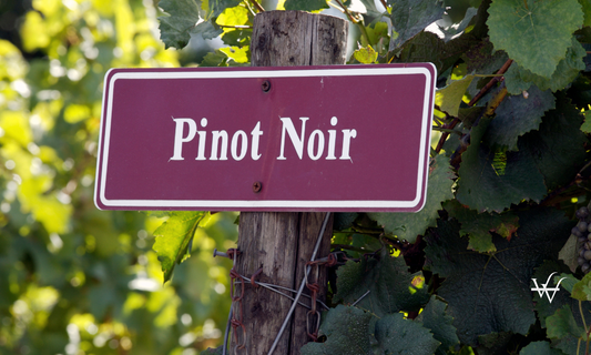 Pinot Noir