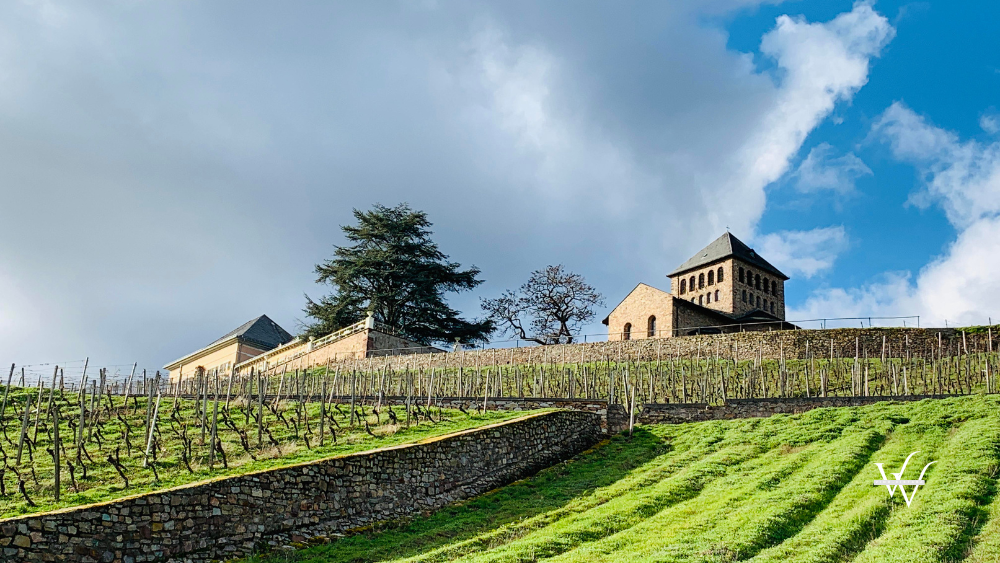 Rheingau Johannisberg Basilica Vineyards