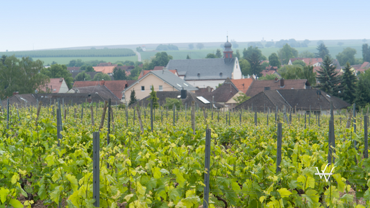 Rheinhessen