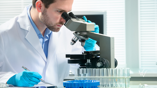 Scientist looking through a microscope