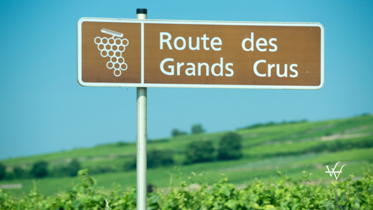 Sign of the Route des Grands Crus