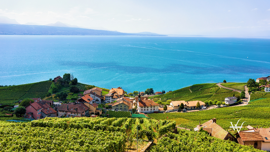 Swiss Chalets at Lavaux Vineyard Terraces