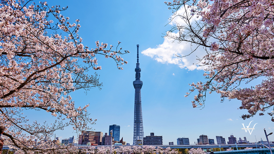 Tokyo Sky Tree and Cityscape, Tokyo, Japan