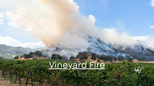 Vineyard Fire