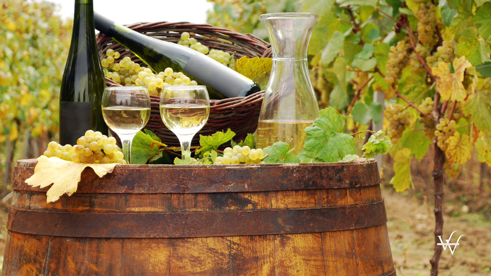 Vineyards Wine Investment