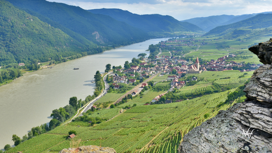 Wachau Wine Region