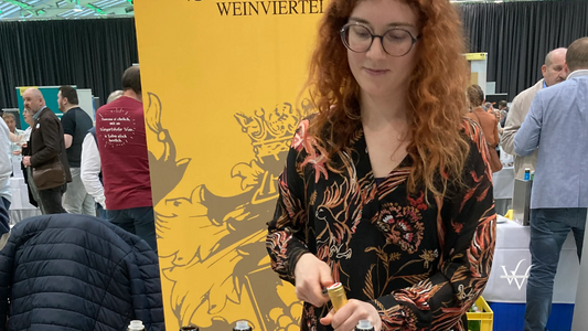 Weinviertel Linz Wine Fair