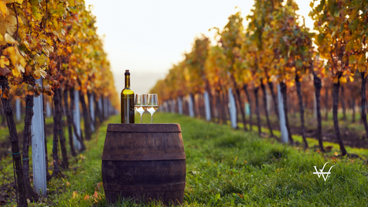 Wine Tasting outside in the Vineyard