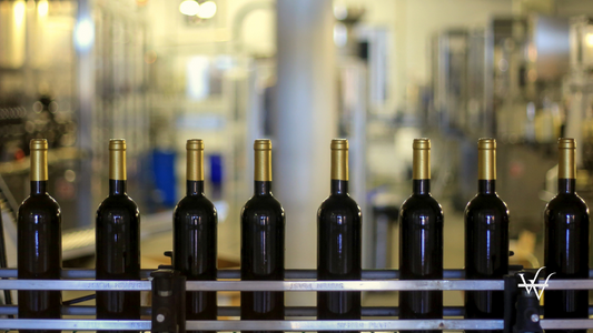 Wine production (1)