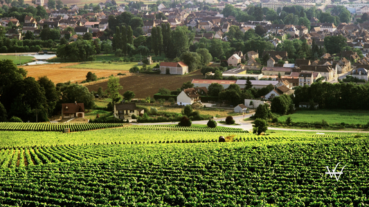 chablis
