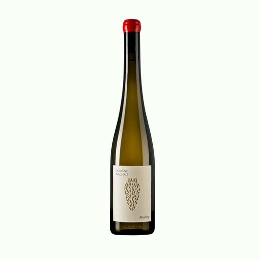 Domäne Wachau Riesling Amphora 2022