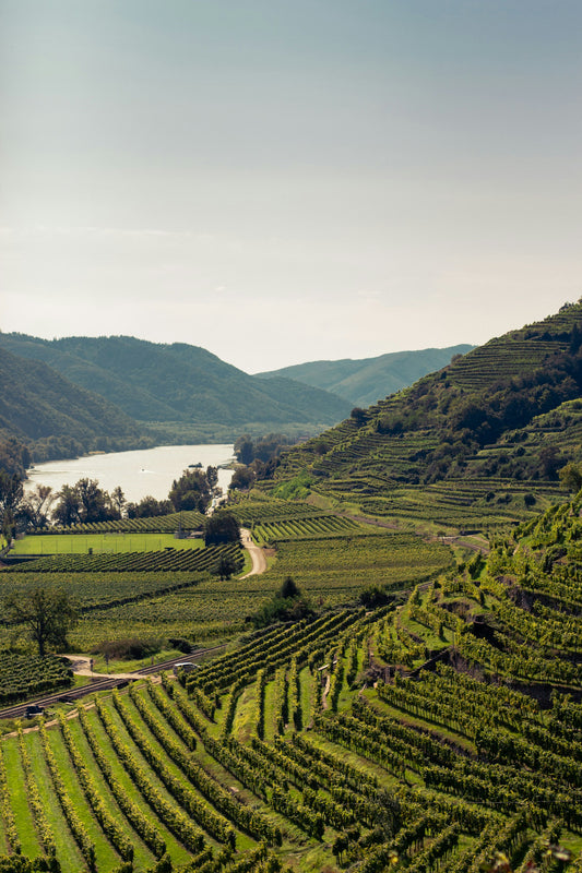 Austria Wachau Wine Region