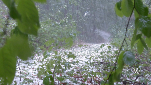 Austrian Burgenland Hail