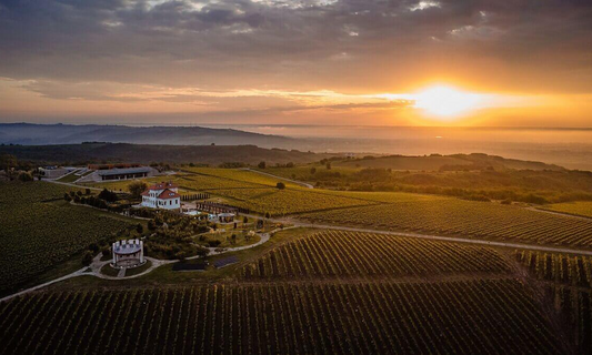 Avincis Winery Vineyards Sunset