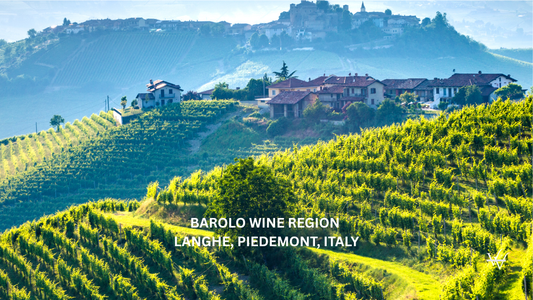 Barolo wine region, Langhe, Piedemont, Italy. Vineyards