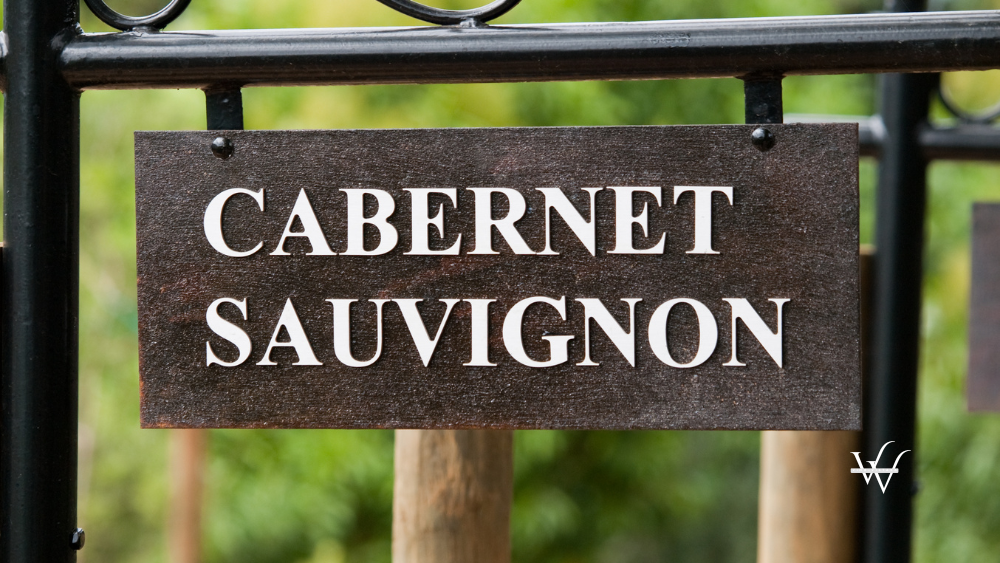 Cabernet Sauvignon