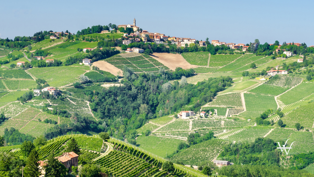 Calosso (Asti), Langhe