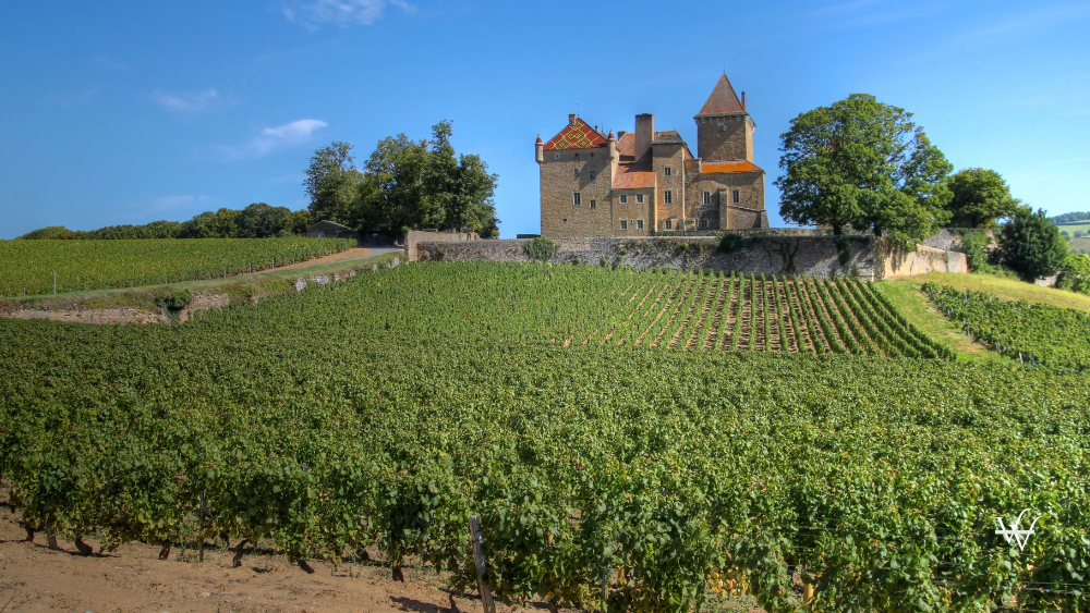 Chateau de Pierreclos, Burgundy, France