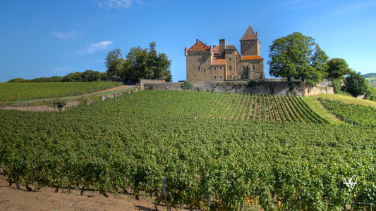 Chateau de Pierreclos, Burgundy, France