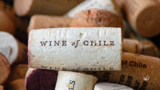 Chilean Wines