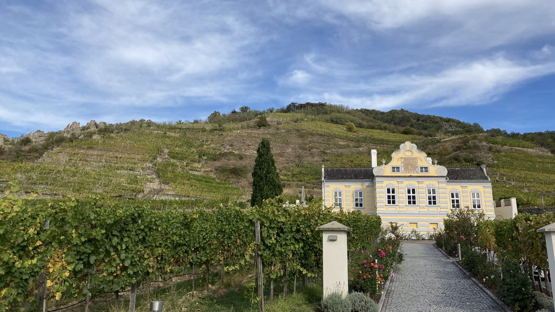 Domäne Wachau Castle Vineyard