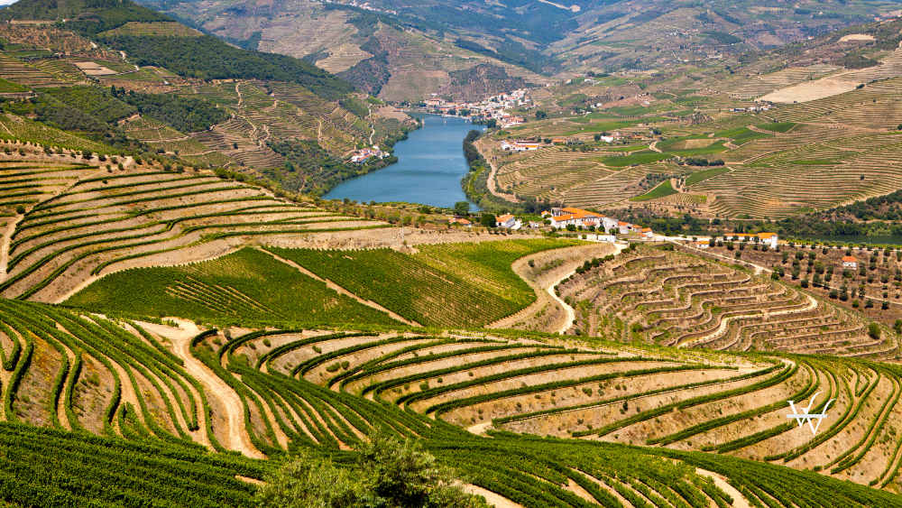 douro valley