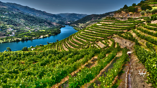douro valley