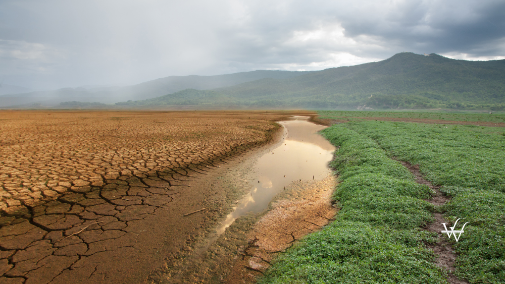 Environment recovering and Climate change
