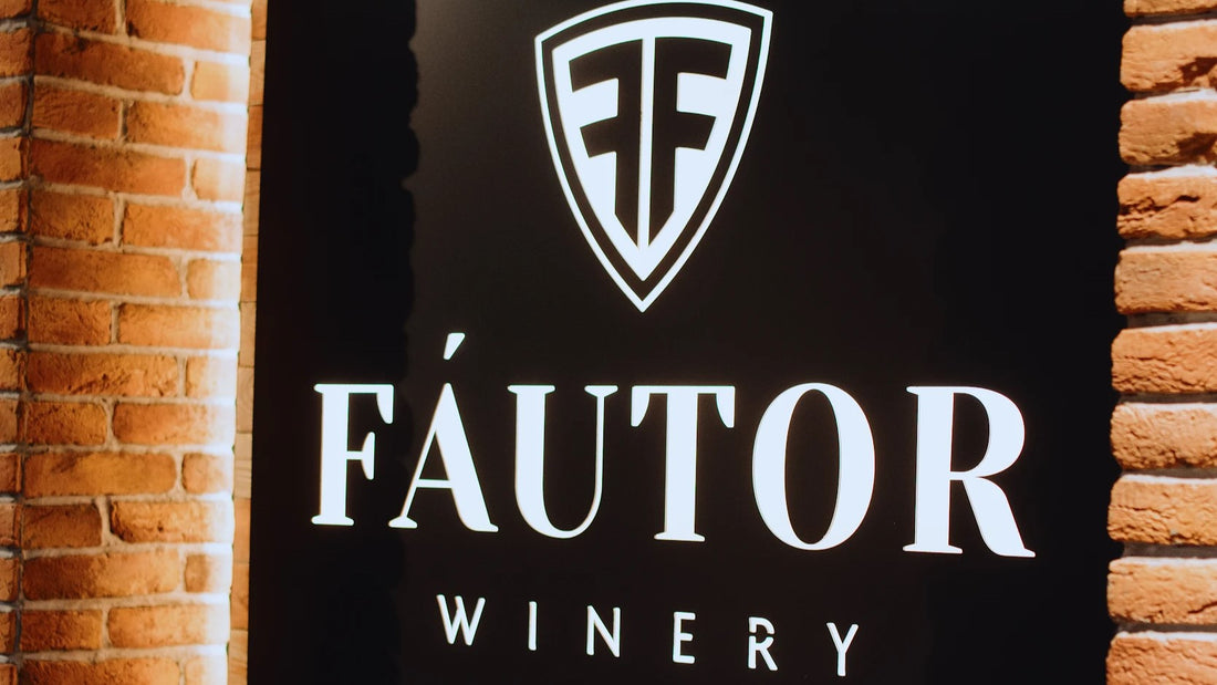 Fautor Winery 3