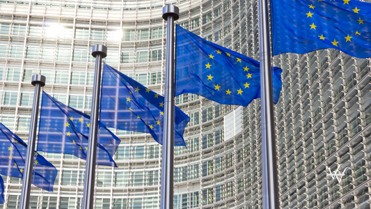 Flags EU Commission building