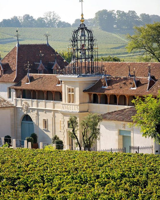 france bordeaux st.emilion chateaux angelus