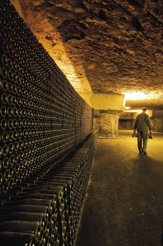 France Burgundy Bourgogne Wine Cellar