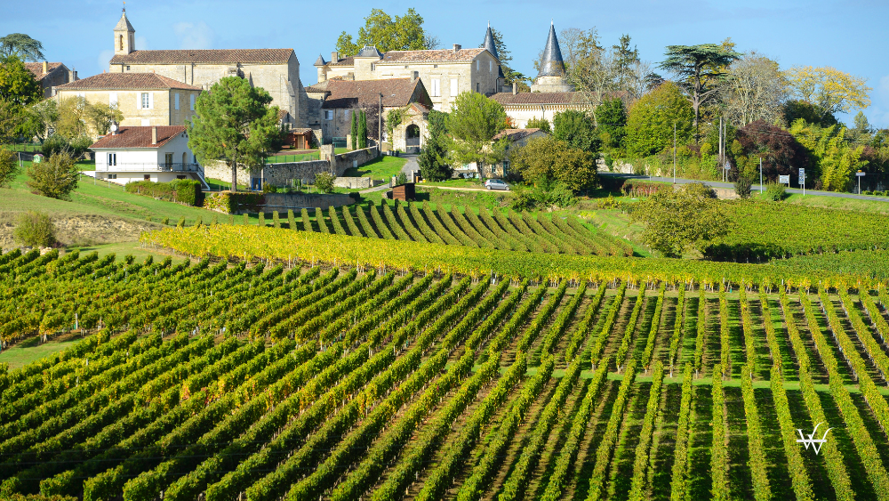 France Bordeaux Saint Emilion Vineyards