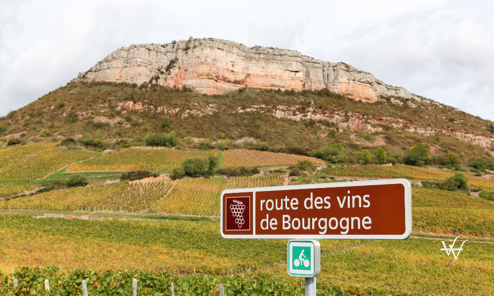 France Burgundy Top 10 Red Wines of 2025