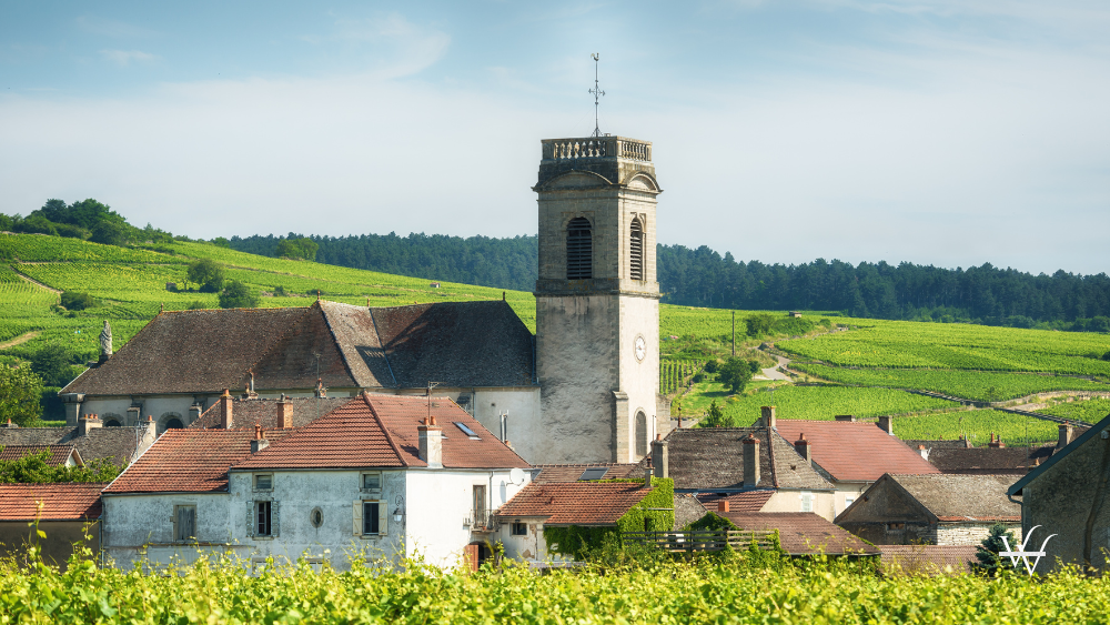 France Burgundy Vineyard Pommard Village
